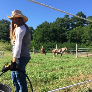 Family Run Farm